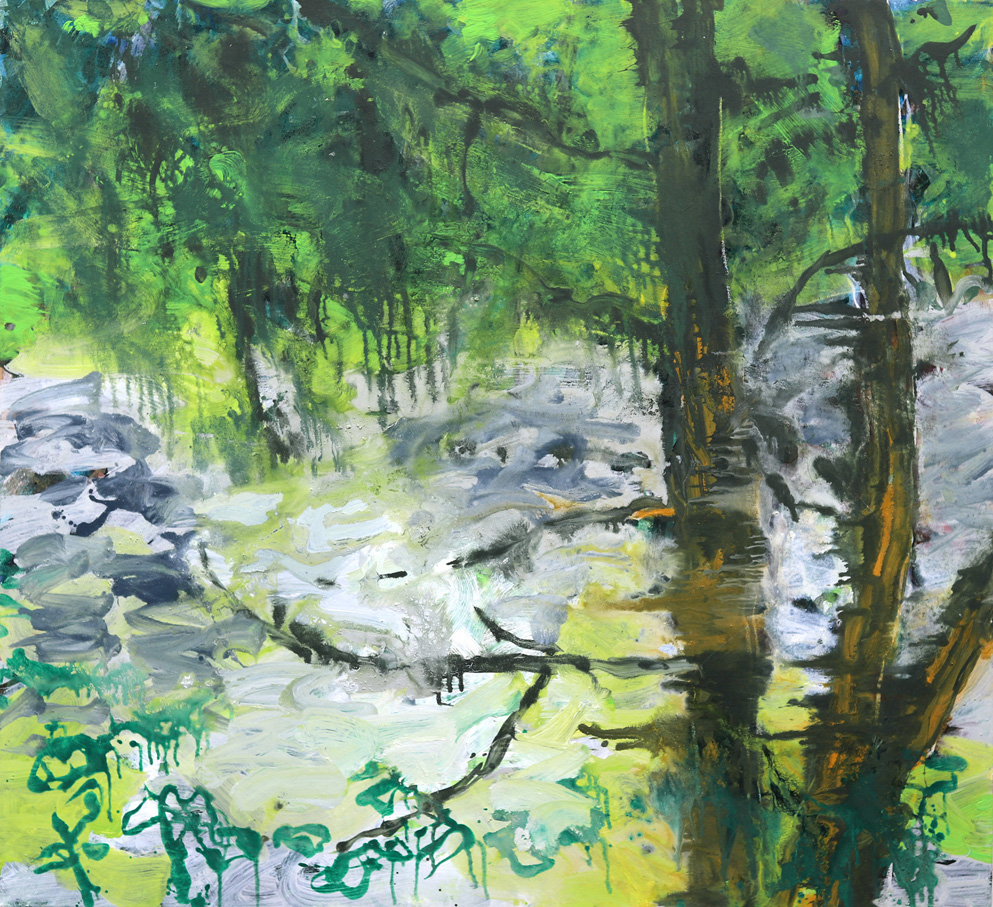 Augenblick Natur von Goerke, Gabriele