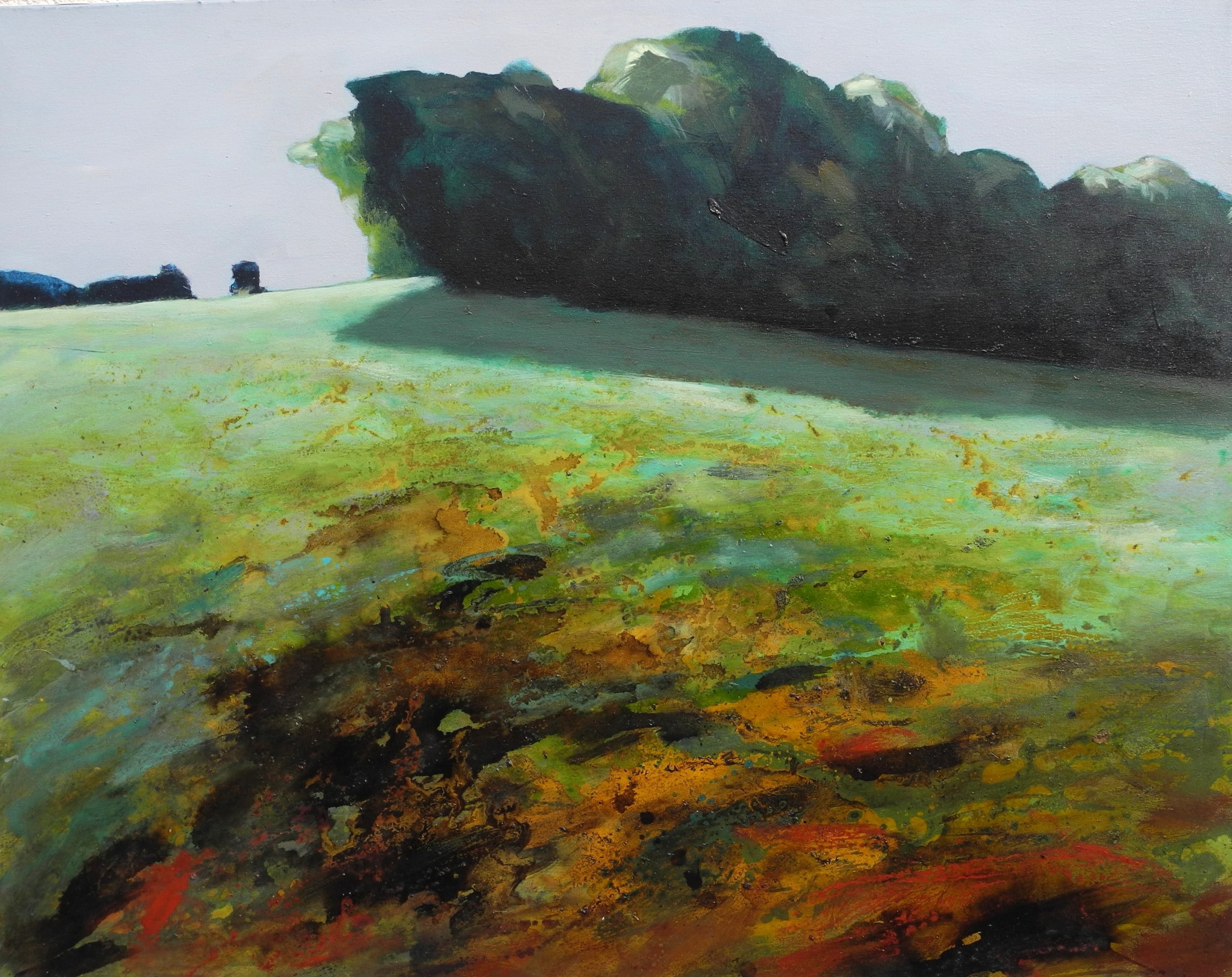 Landschaft 5 von Rein, Andreas Landschaft 5 von Rein, Andreas
