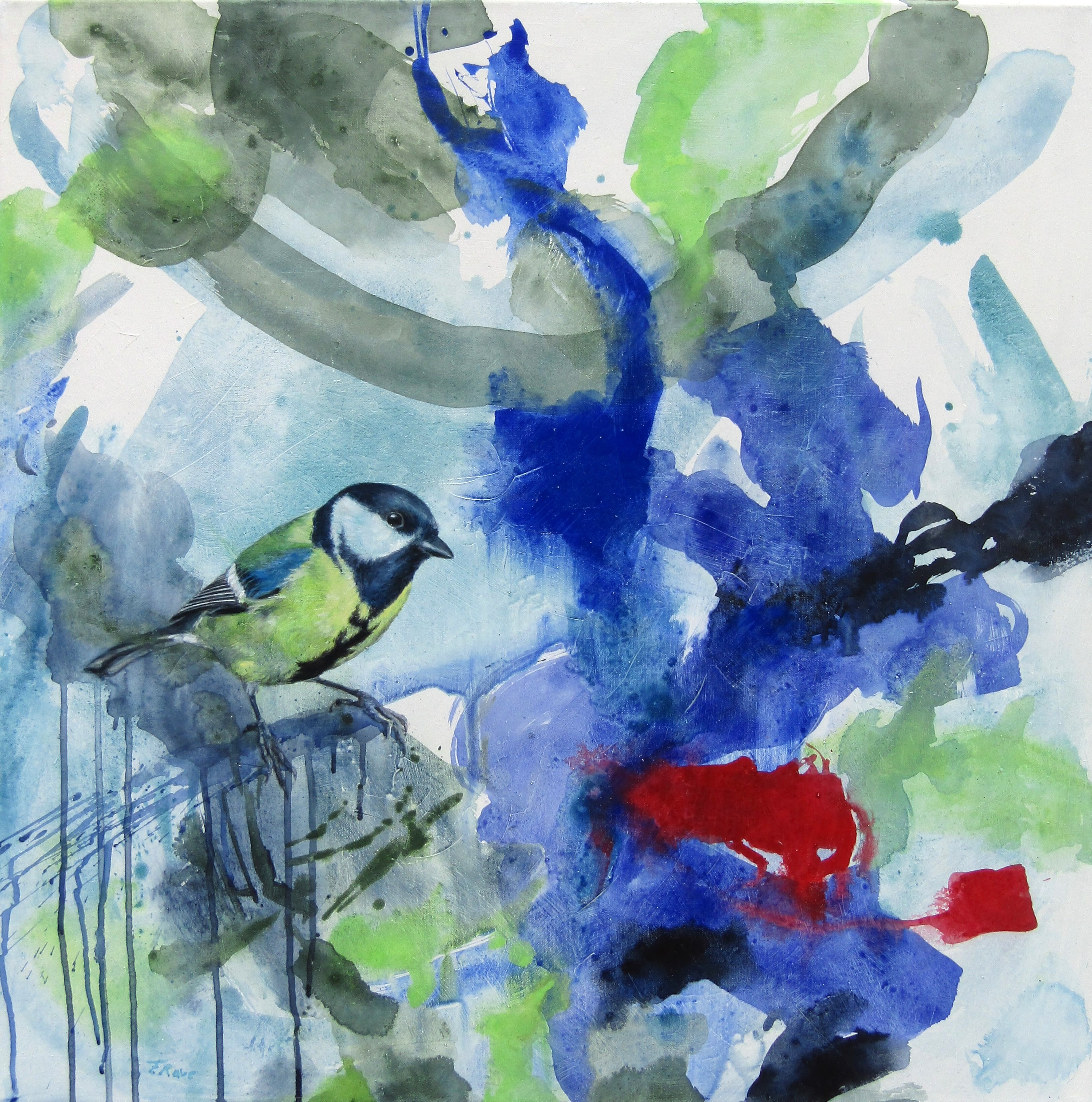 Kühl (Blaumeise) von Rave, Friederike 