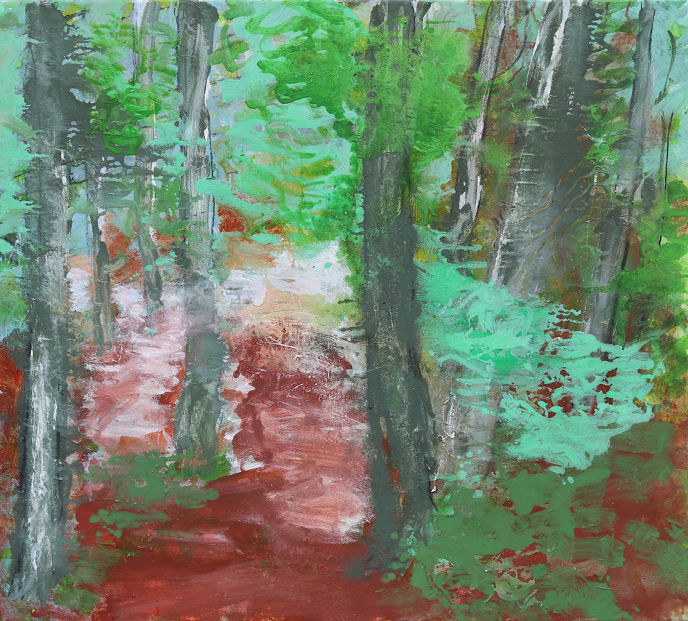 Licht im Wald von Goerke, Gabriele