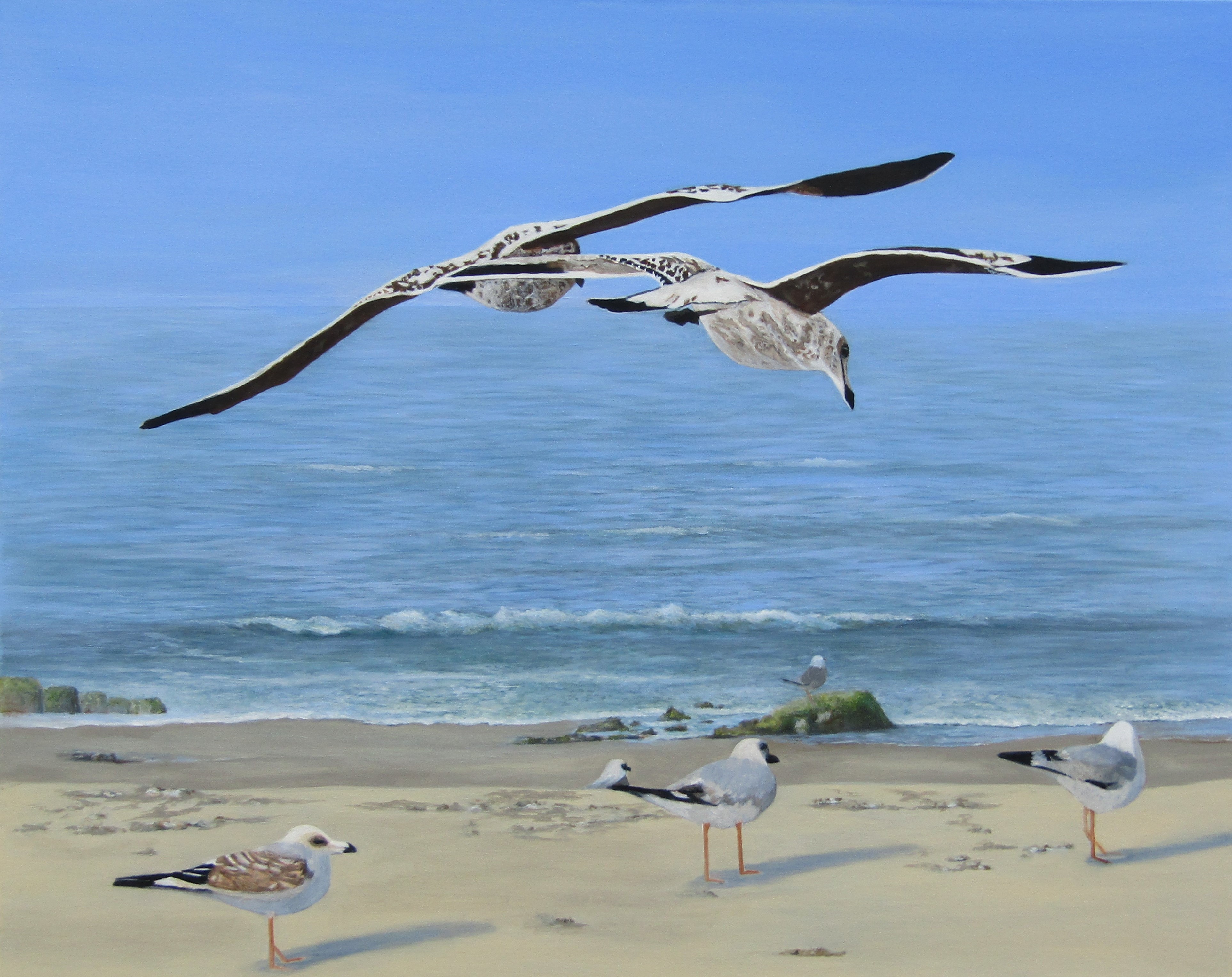 Küstennnebel von Wölwer, Sabina